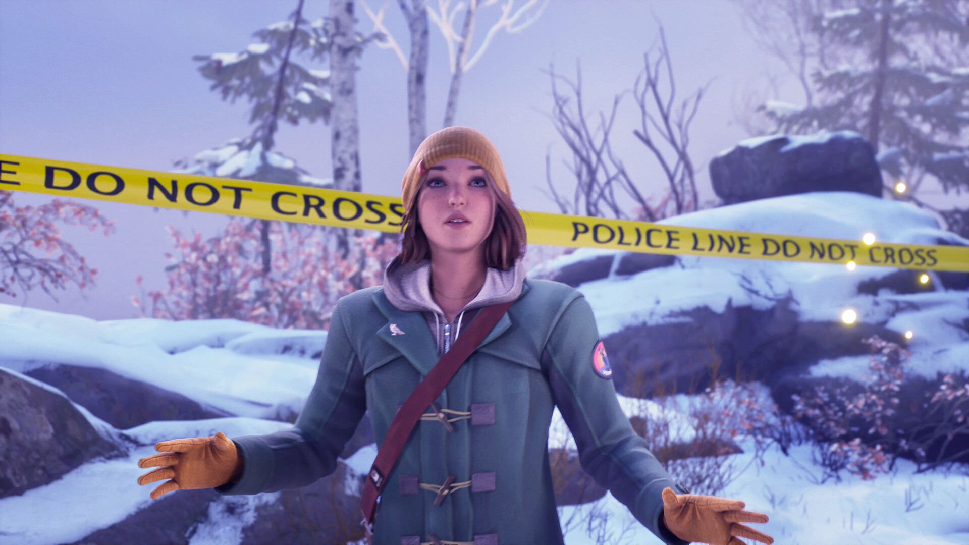Life is Strange: Double Exposure Deluxe Edition PC Steam Account