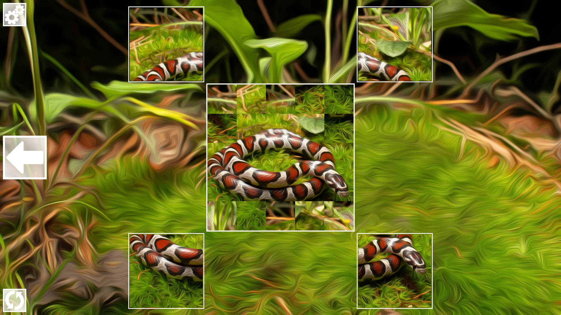 Puzzle Art: Snakes PC Steam CD Key