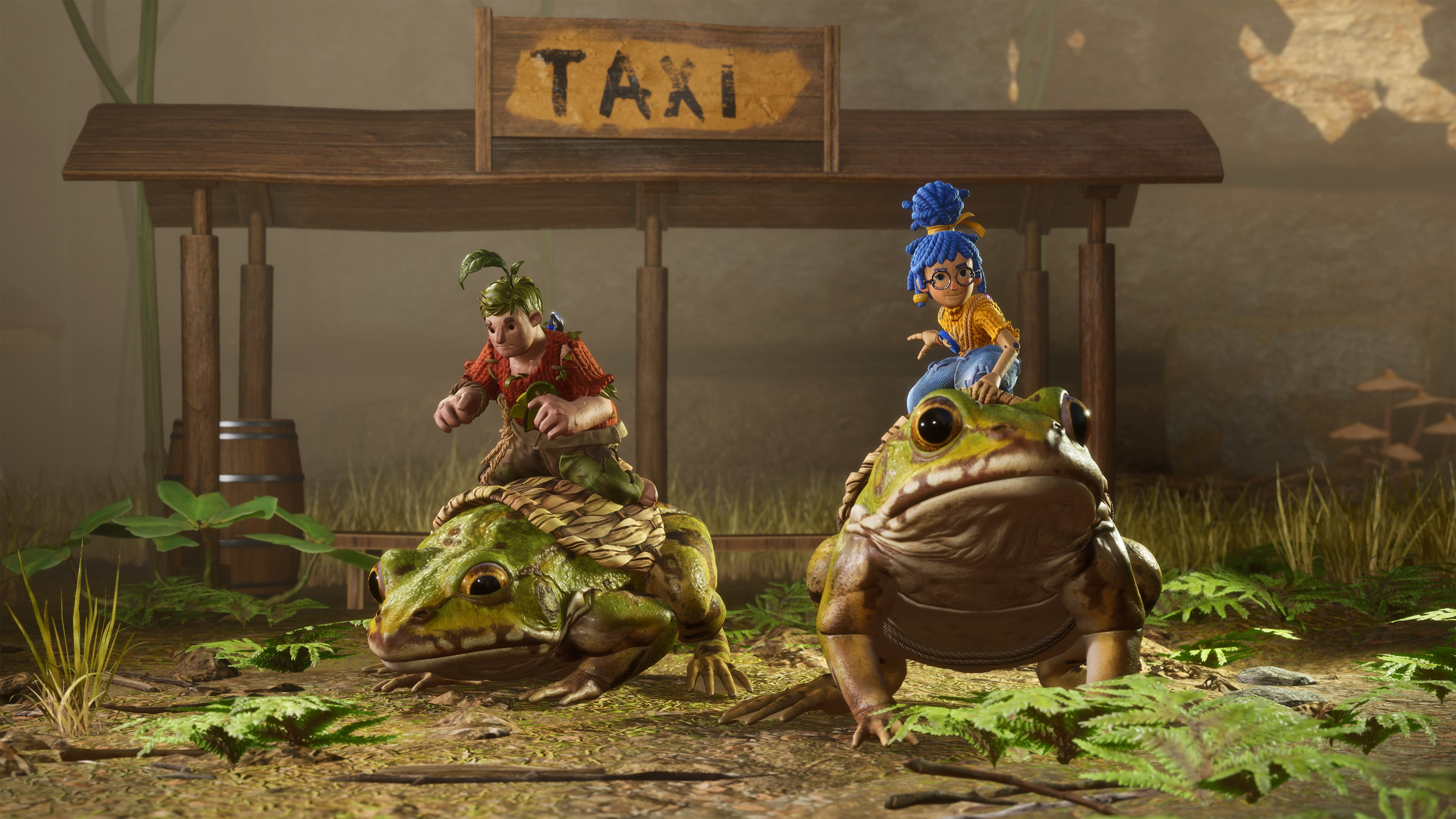 It Takes Two - Digital Version XBOX One / Xbox Series X|S Account