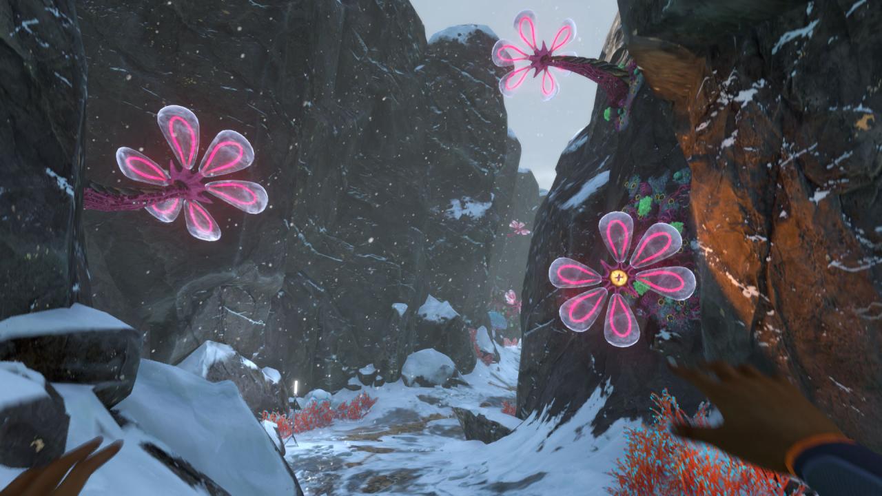Subnautica: Below Zero XBOX One / Xbox Series X|S / PC Account