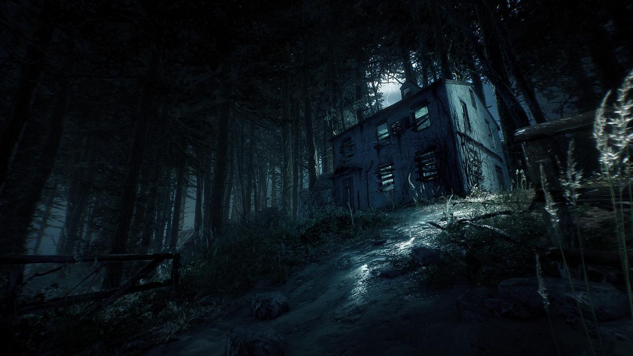 Blair Witch Steam Account