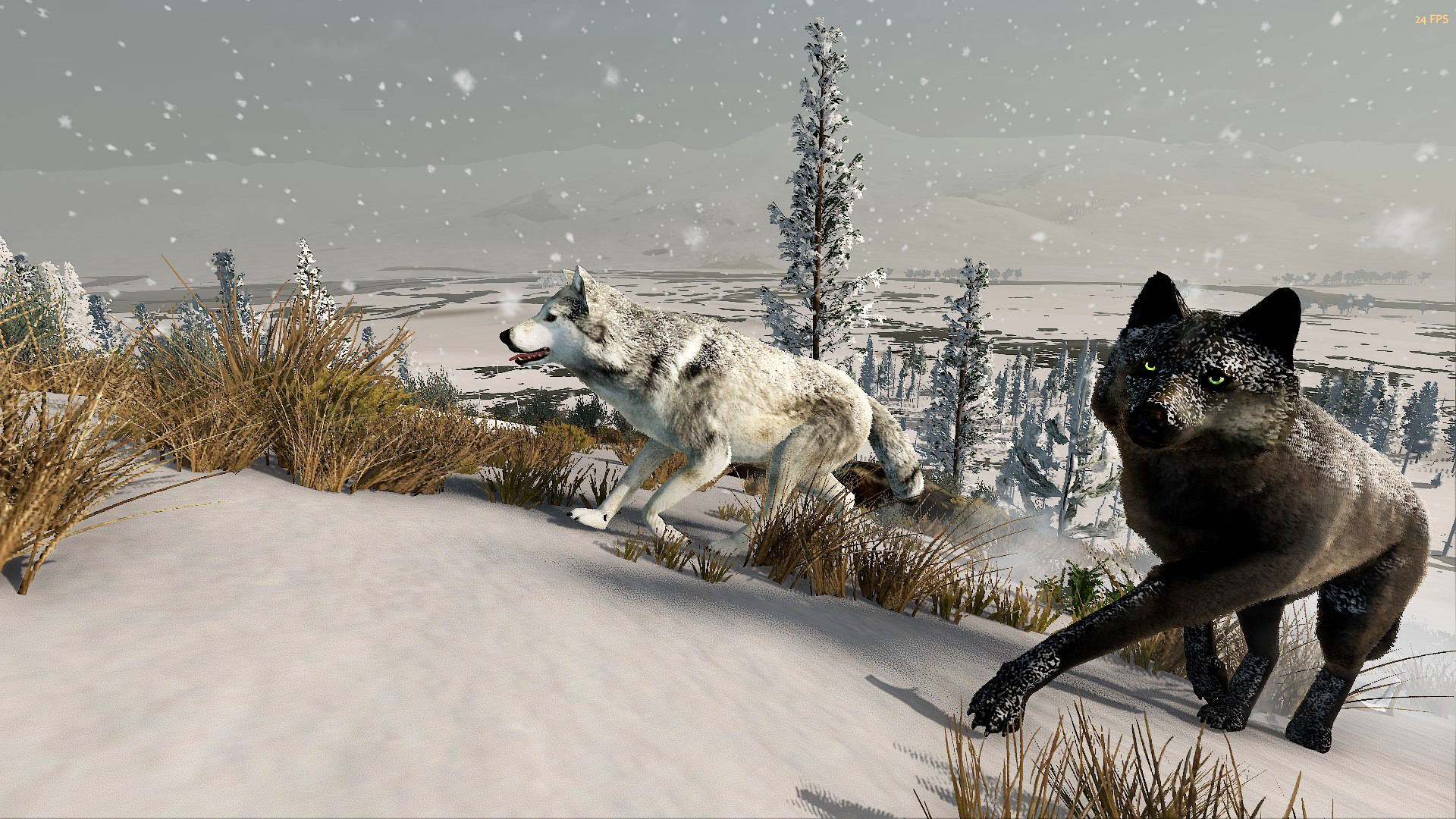 WolfQuest: Anniversary Edition PC Steam Account