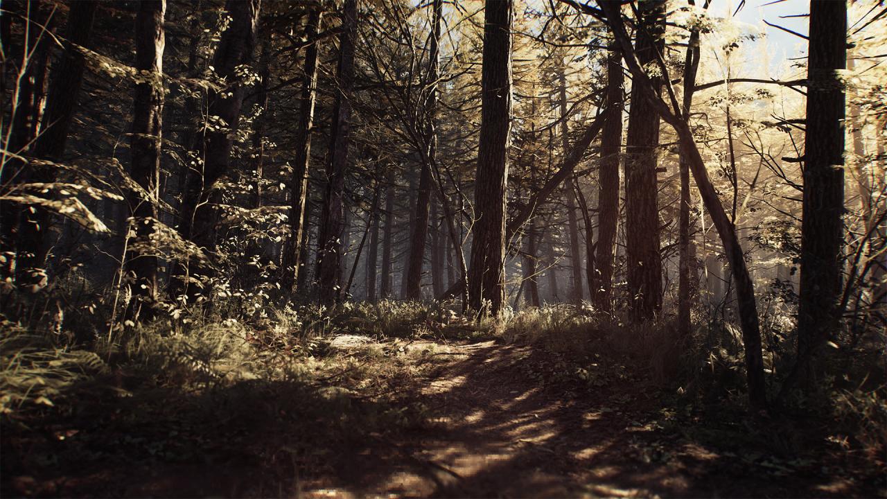 Blair Witch Steam Account