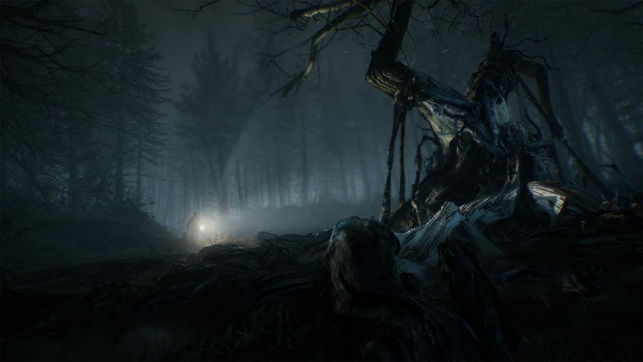 Blair Witch Steam Account