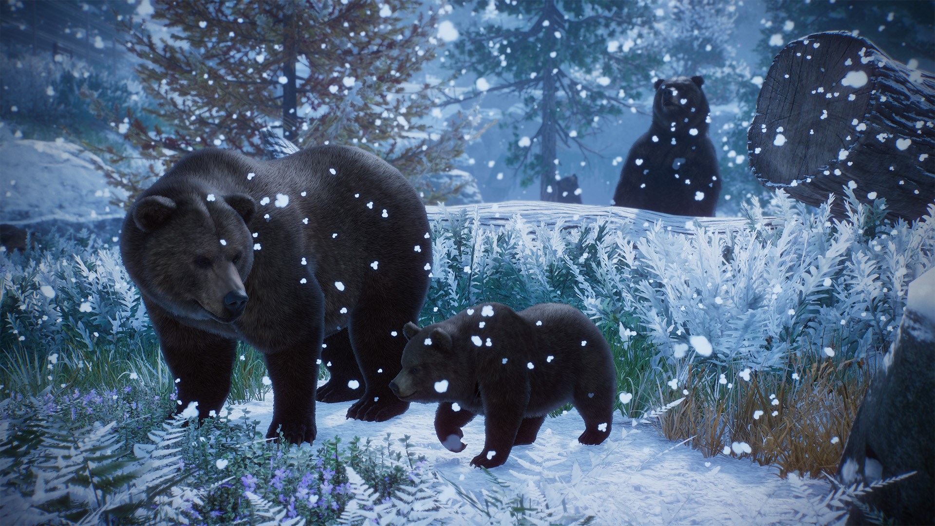 Planet Zoo: Console Edition Xbox Series X|S Account