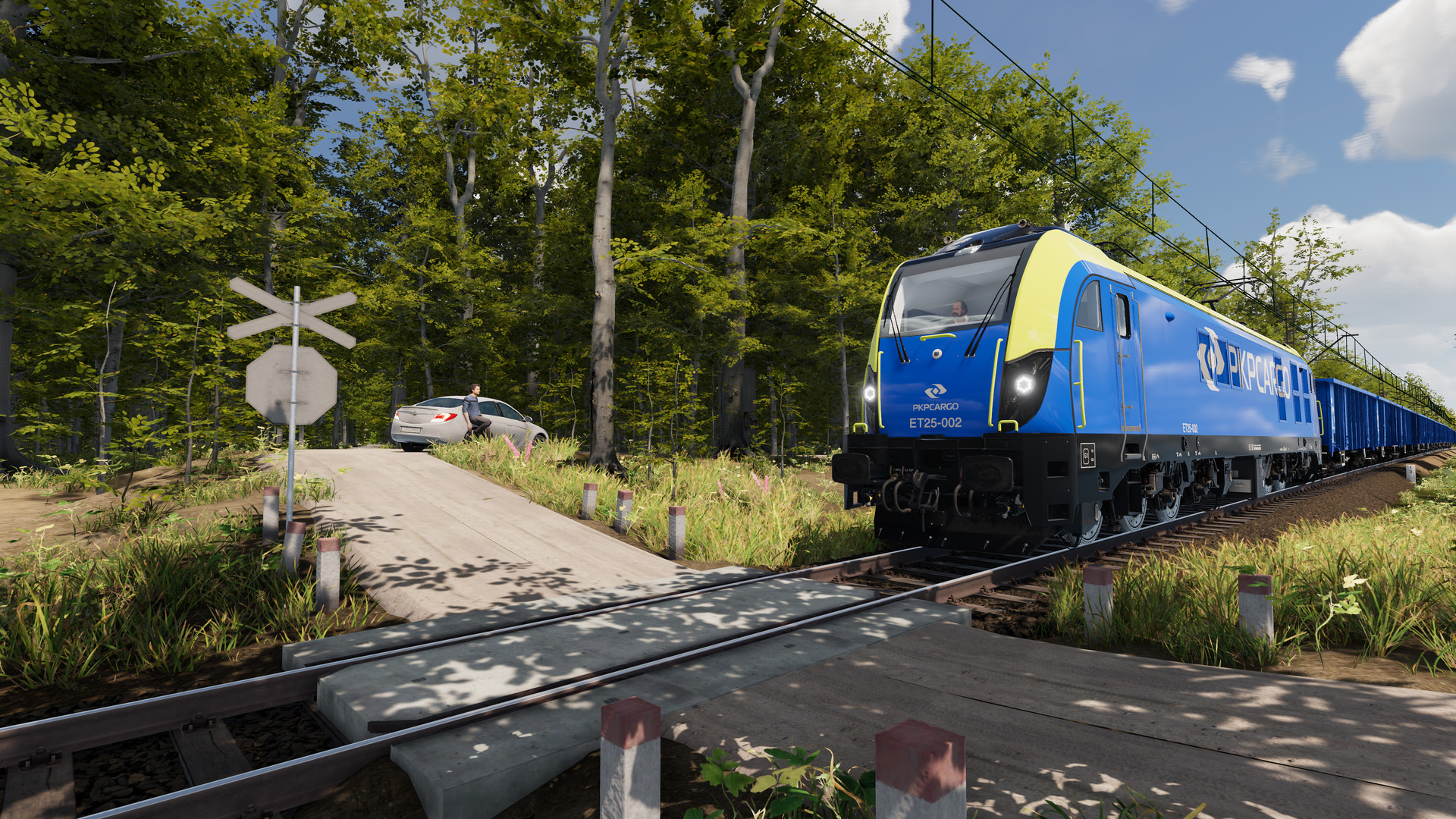 SimRail - The Railway Simulator PC Steam Account