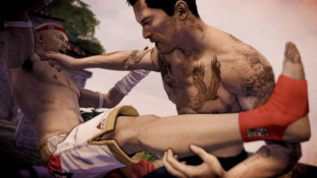 Sleeping Dogs Definitive Edition PC Steam Account
