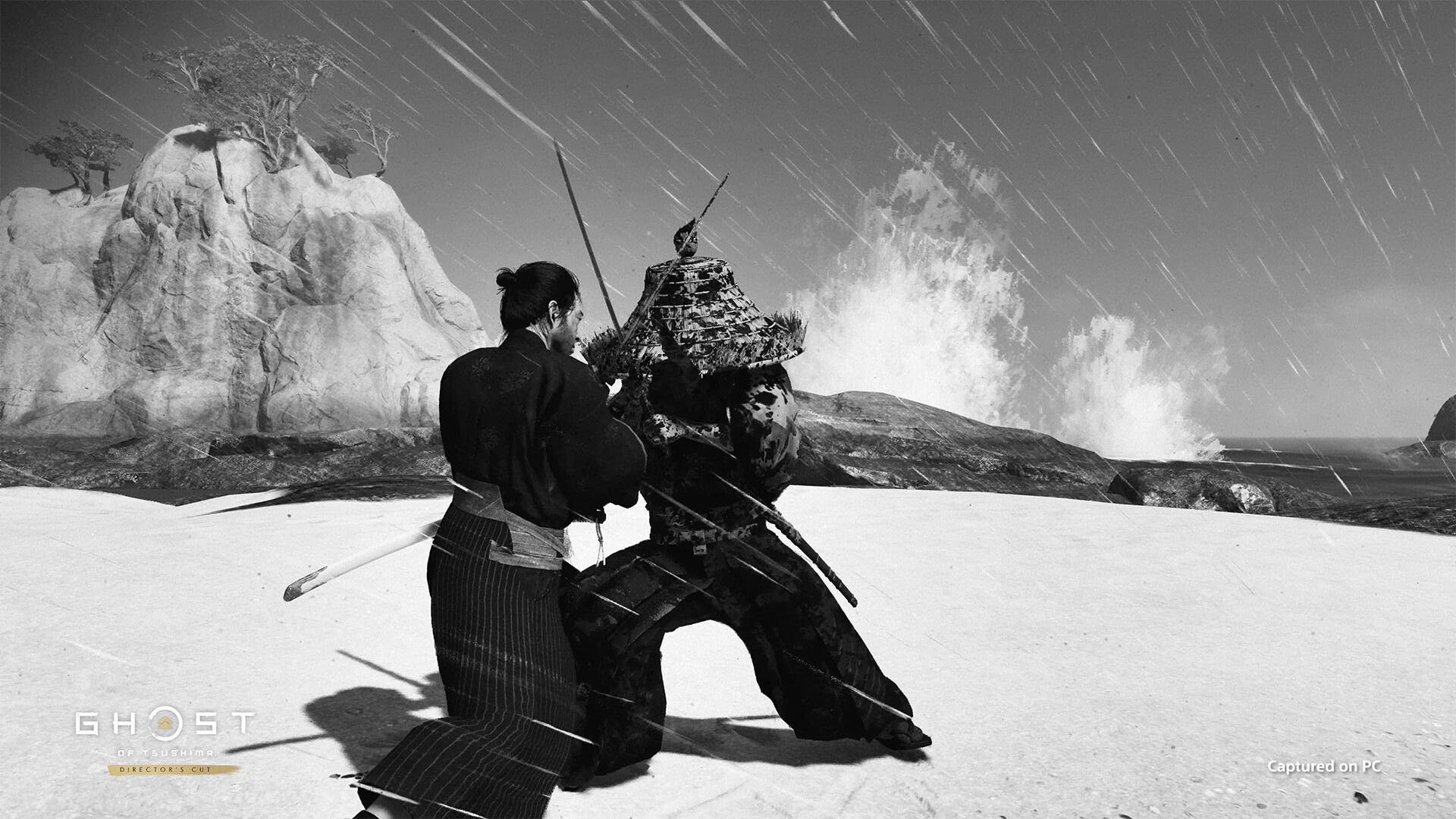 Ghost of Tsushima Director's Cut RoW PC Steam CD Key