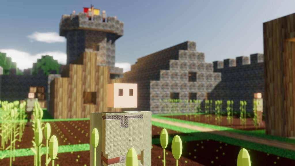 Colony Survival PC Steam Account