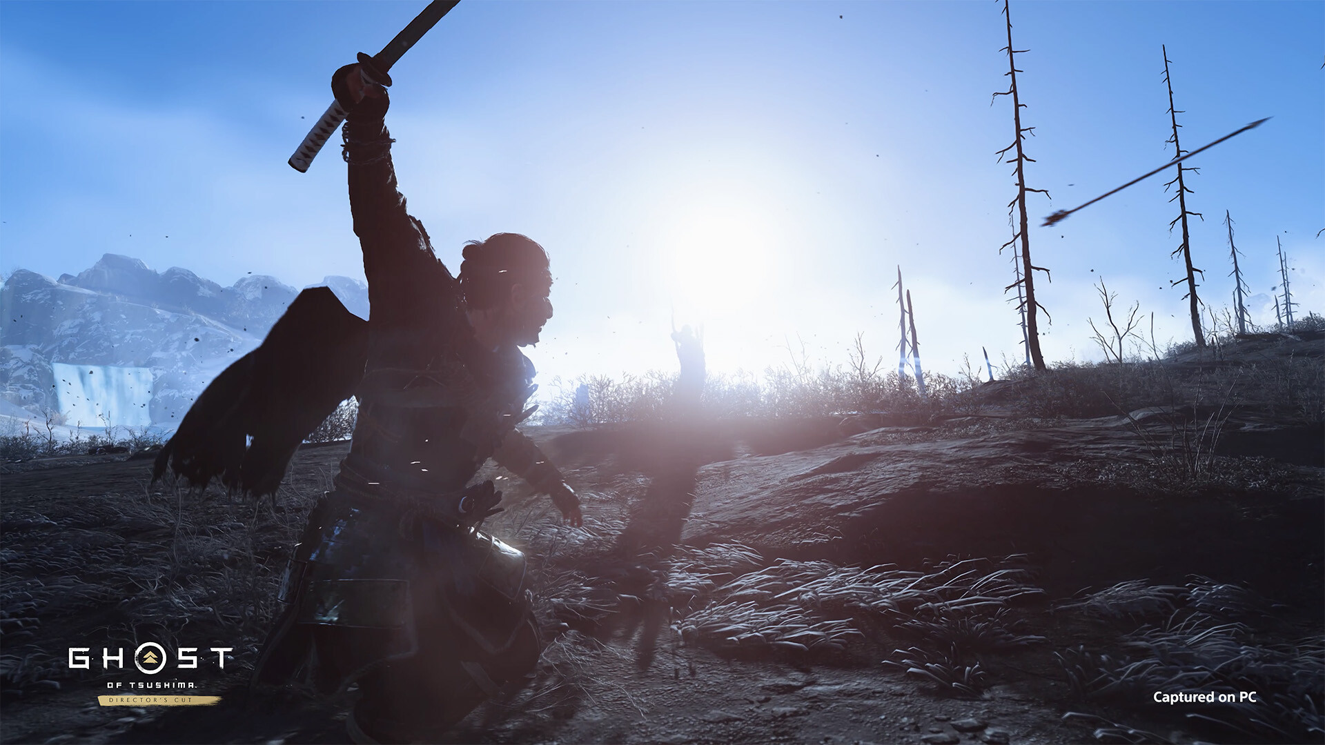 Ghost of Tsushima Director's Cut RoW PC Steam CD Key