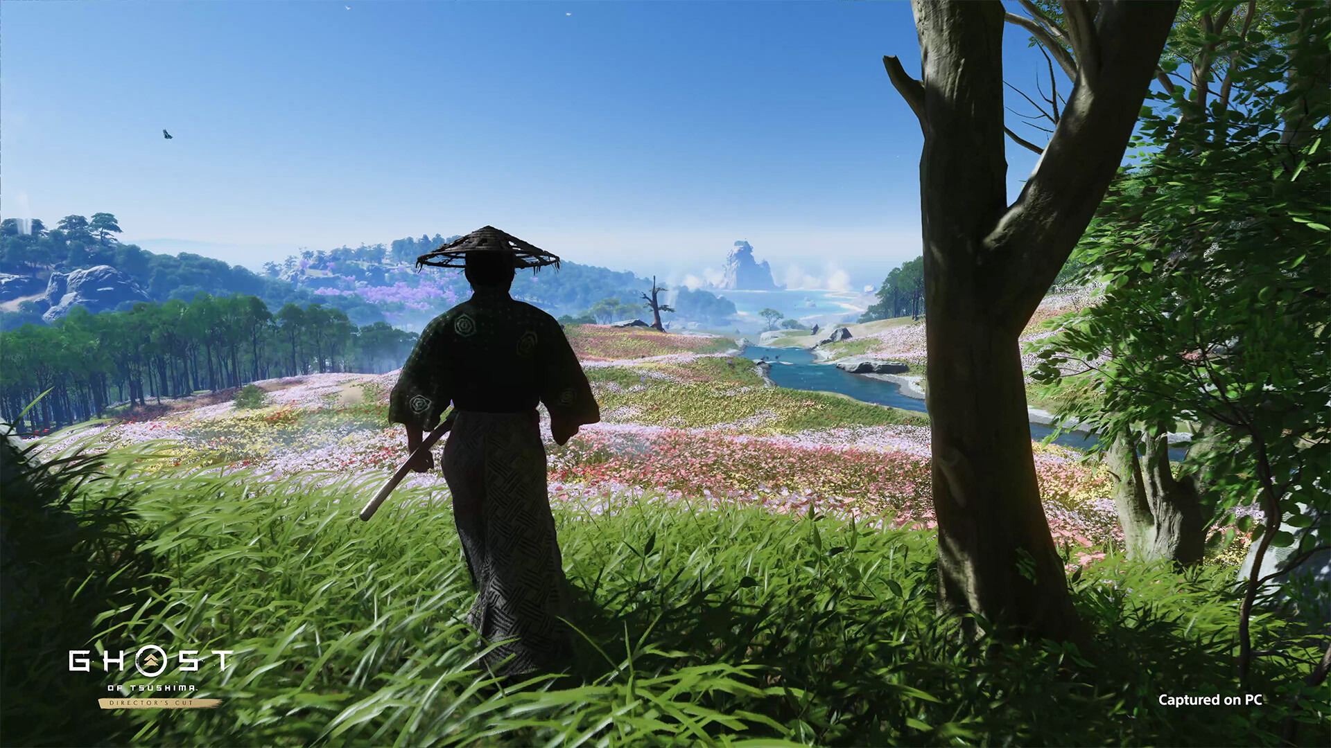 Ghost of Tsushima Director's Cut RoW PC Steam CD Key