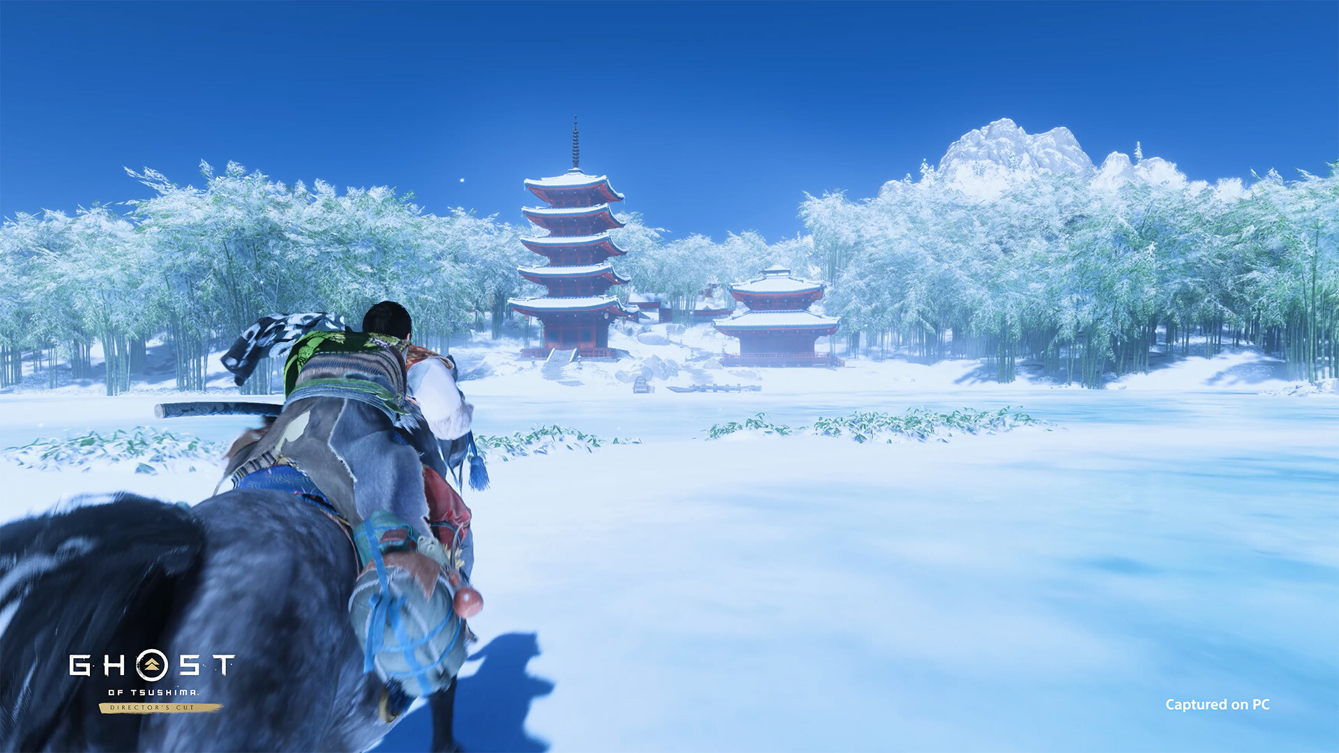 Ghost of Tsushima Director's Cut RoW PC Steam CD Key
