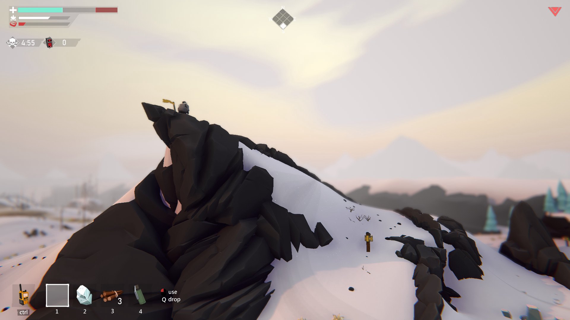 Project Winter Steam Account