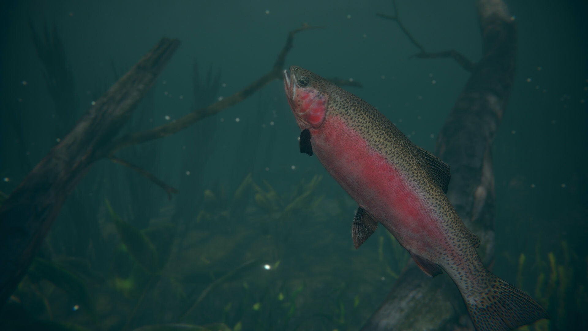 Ultimate Fishing Simulator 2 PC Steam Account