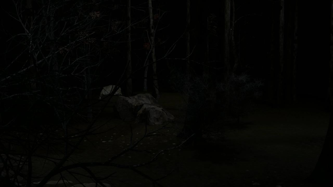 Blood Trail PC Steam Account