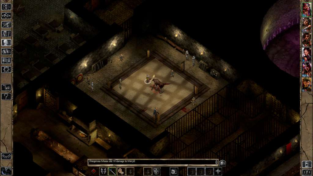 Baldur's Gate II: Enhanced Edition PC Steam Account