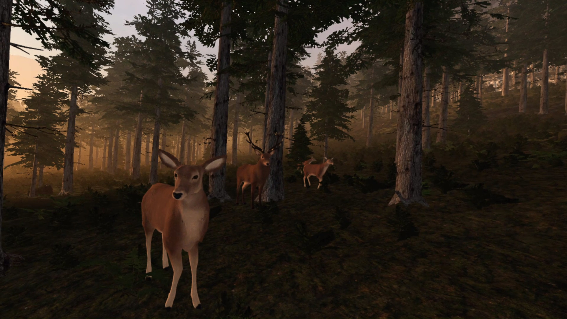 Virtual Hunter PC Steam Account