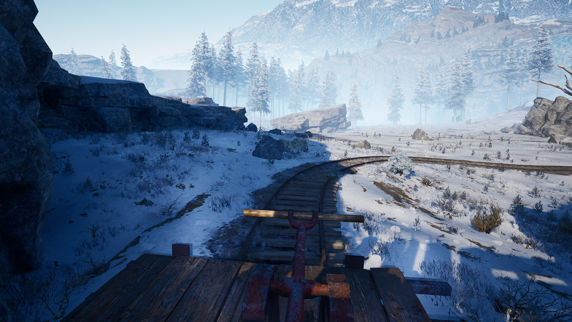 Winter Survival PC Steam Account