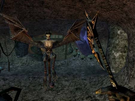 The Elder Scrolls III Morrowind GOTY PC Epic Games Account