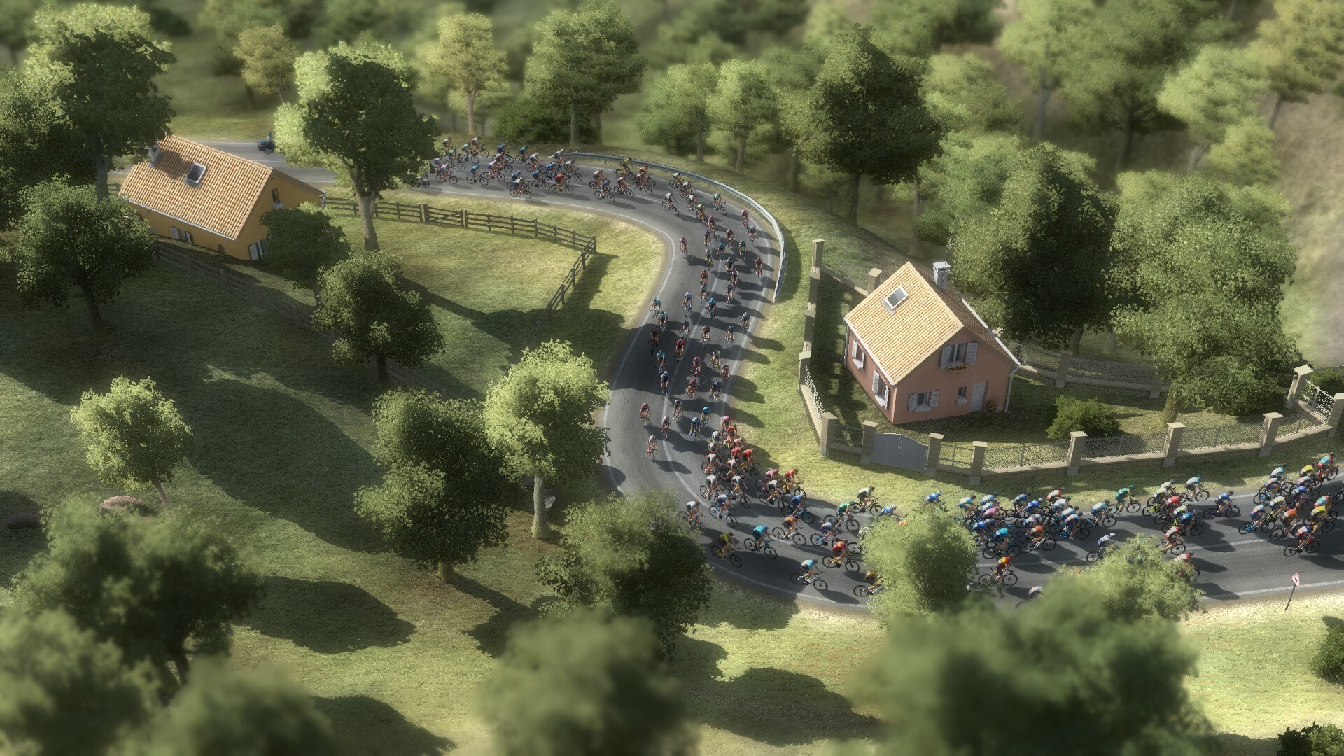 Pro Cycling Manager 2024 PC Steam Account