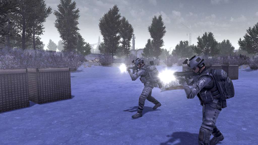 Call to Arms Deluxe Edition PC Steam Account