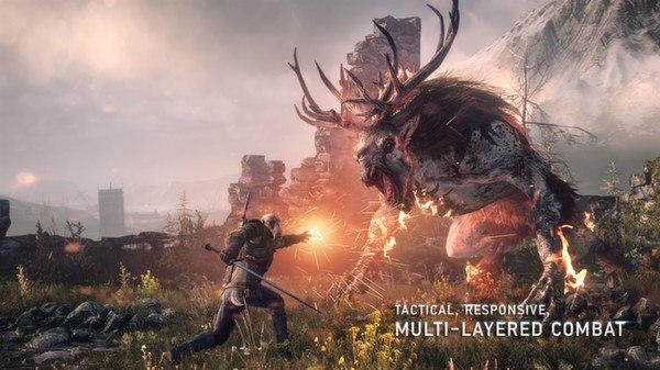 The Witcher Trilogy PC Steam Account