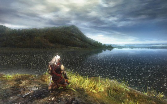 The Witcher Trilogy PC Steam Account