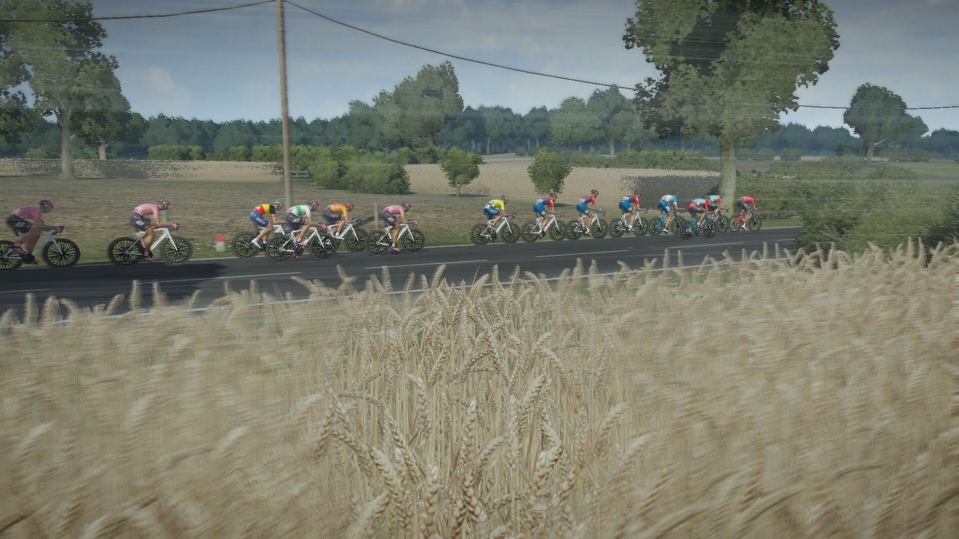 Tour de France 2024 PC Steam Account