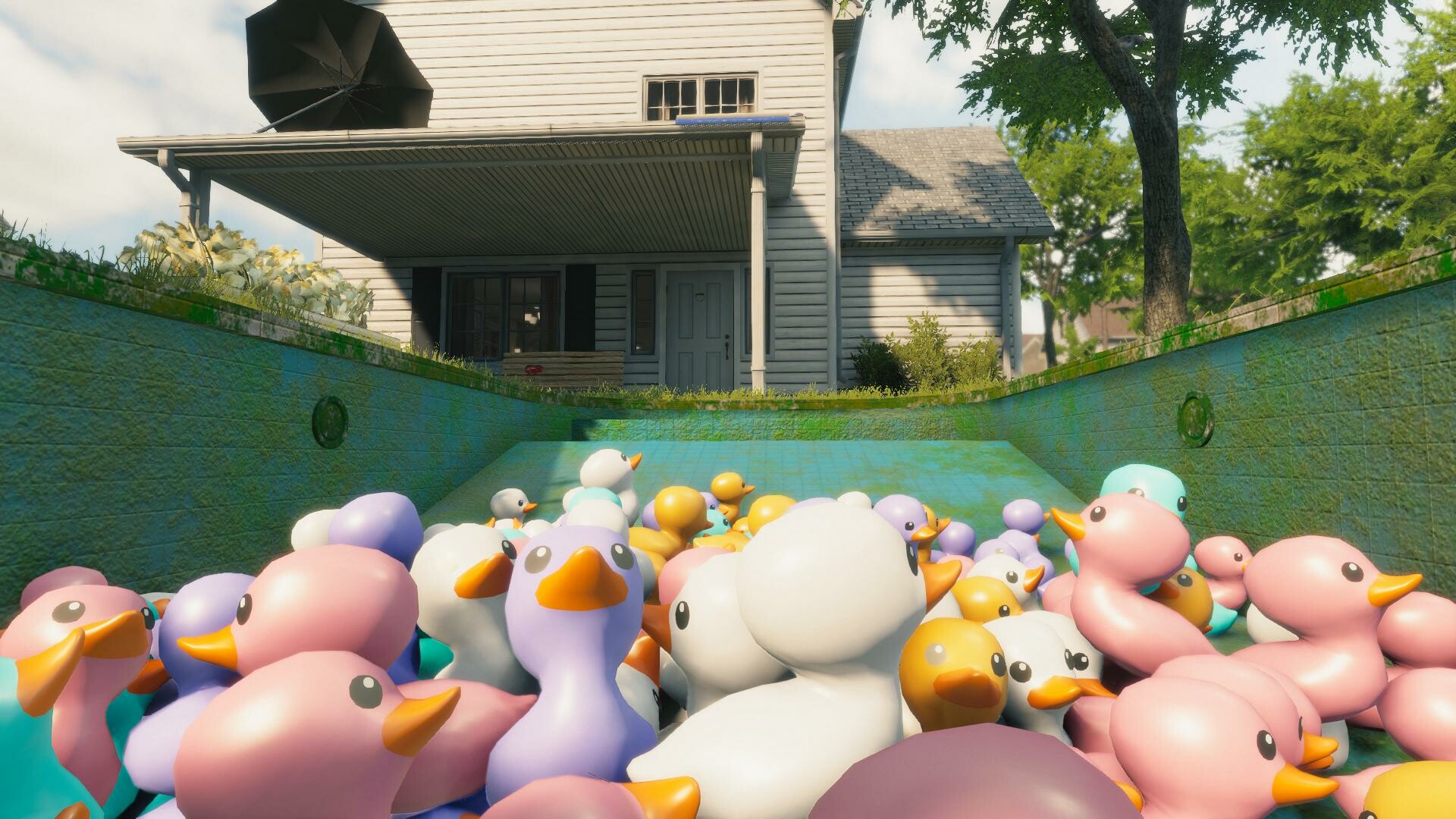 Pool Cleaning Simulator PC Steam Account