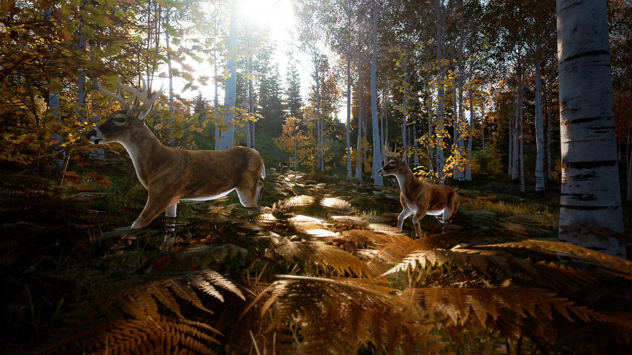 Hunting Simulator 2 XBOX One / Xbox Series X|S Account
