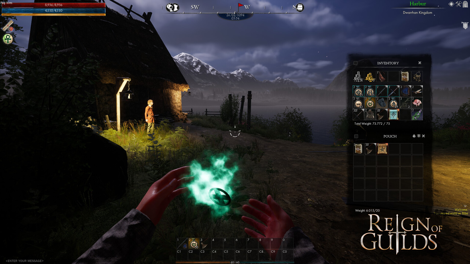 Reign of Guilds PC Steam Account