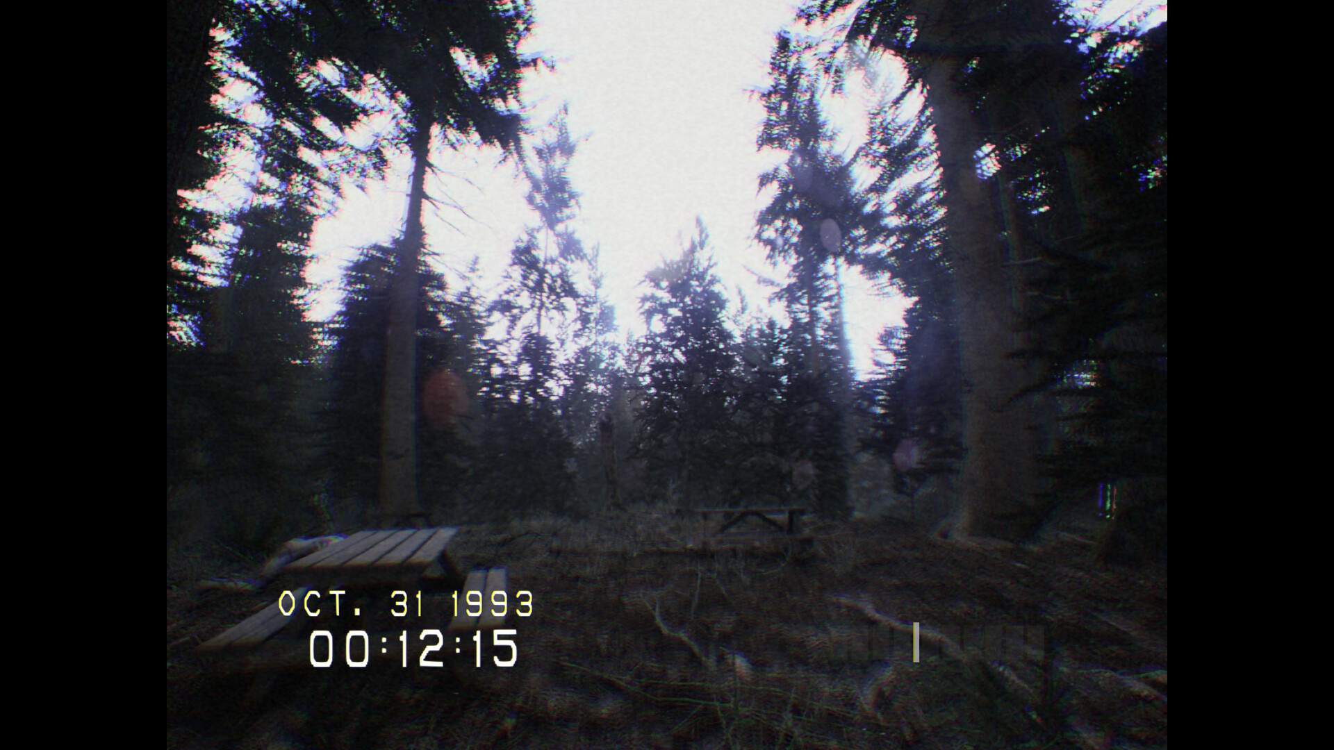 DON'T SCREAM PC Steam Account