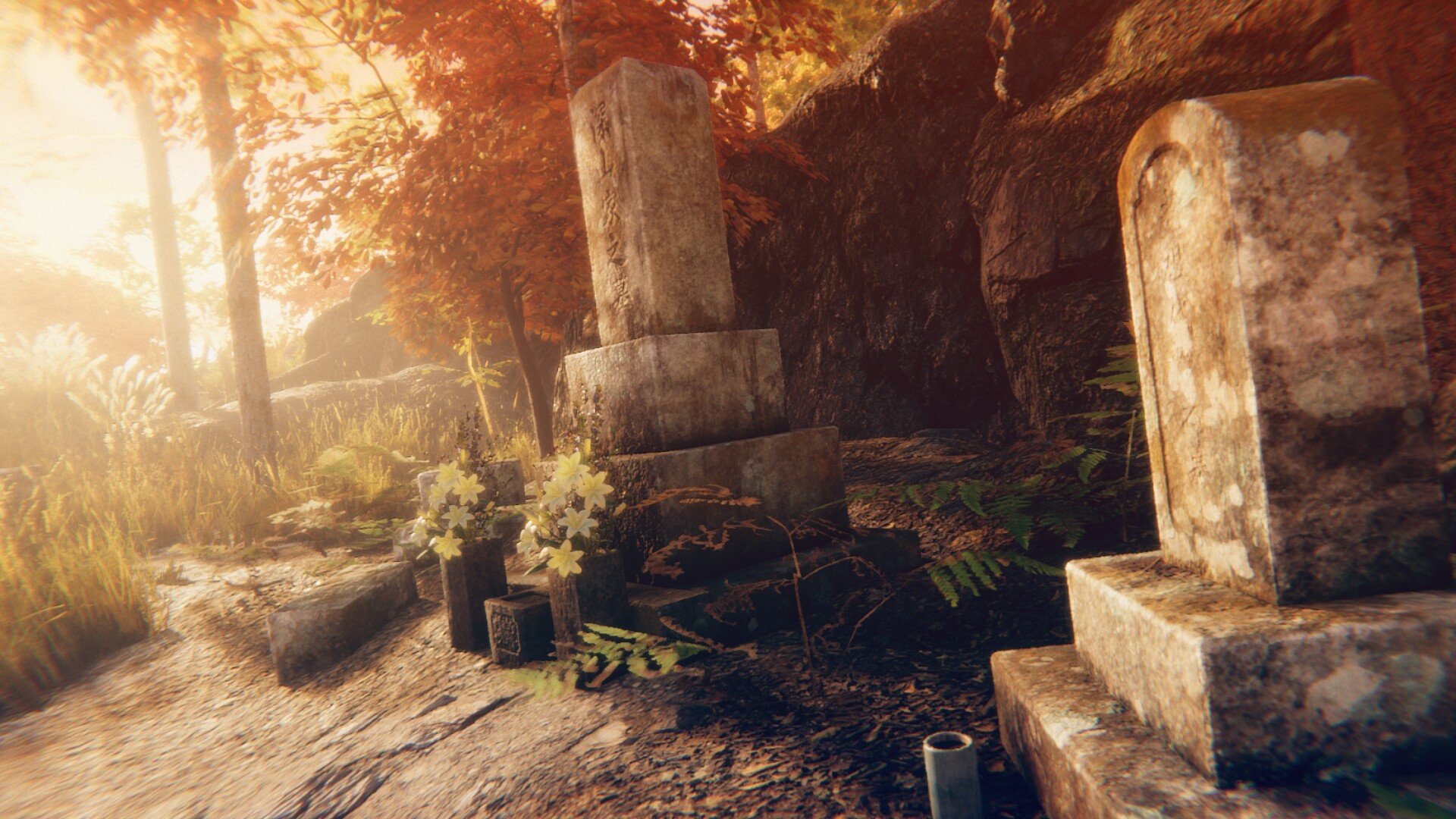 Hollow Cocoon PC Steam Account