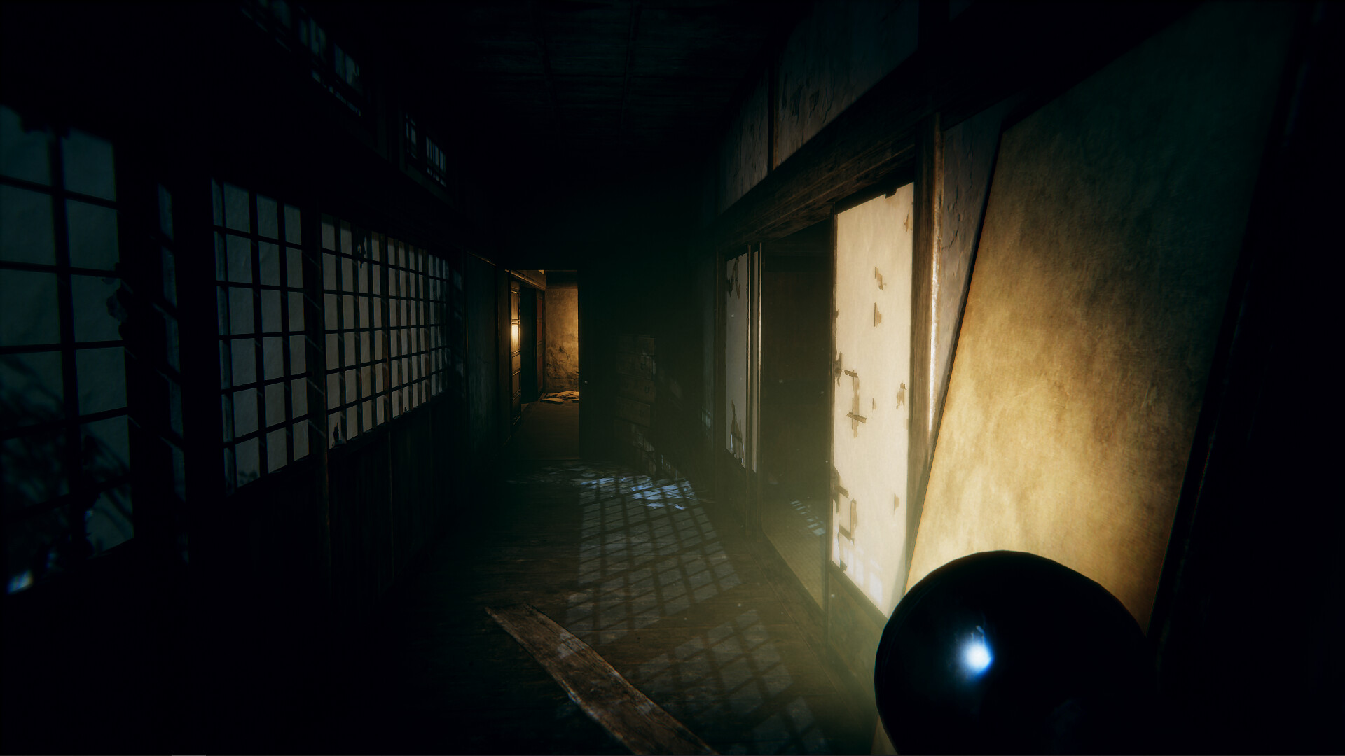 Hollow Cocoon PC Steam Account
