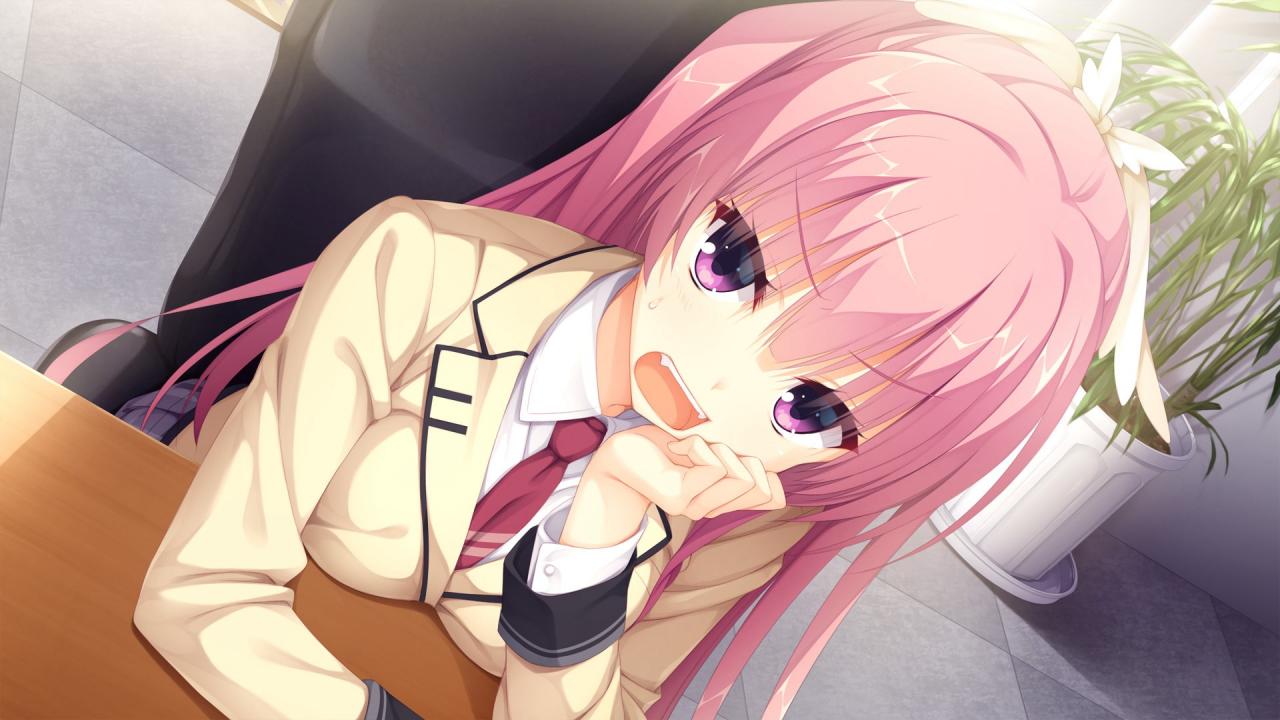 Riddle Joker PC Steam Account