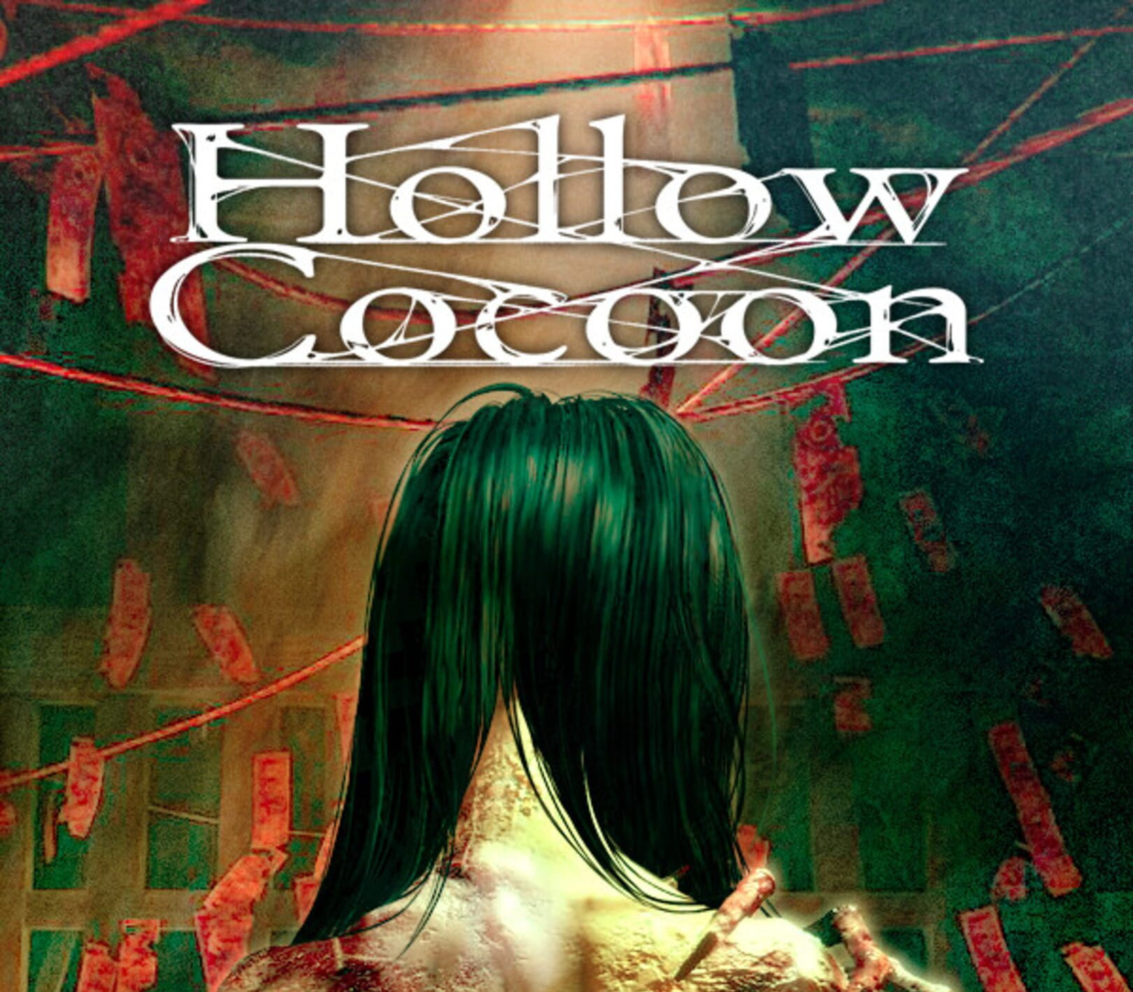 Hollow Cocoon PC Steam Account