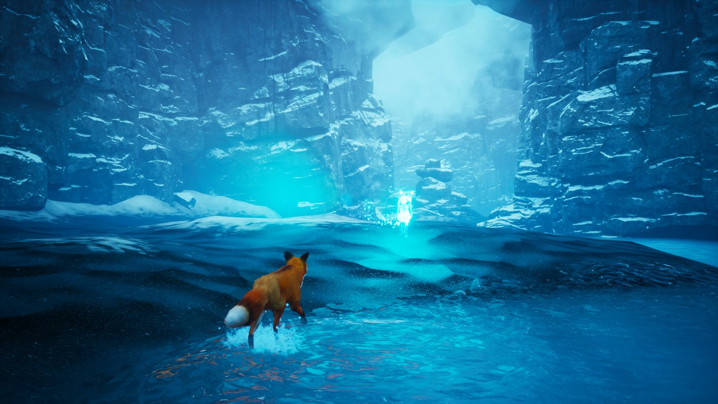 Spirit of the North: Enhanced Edition Xbox Series X|S / PC Account