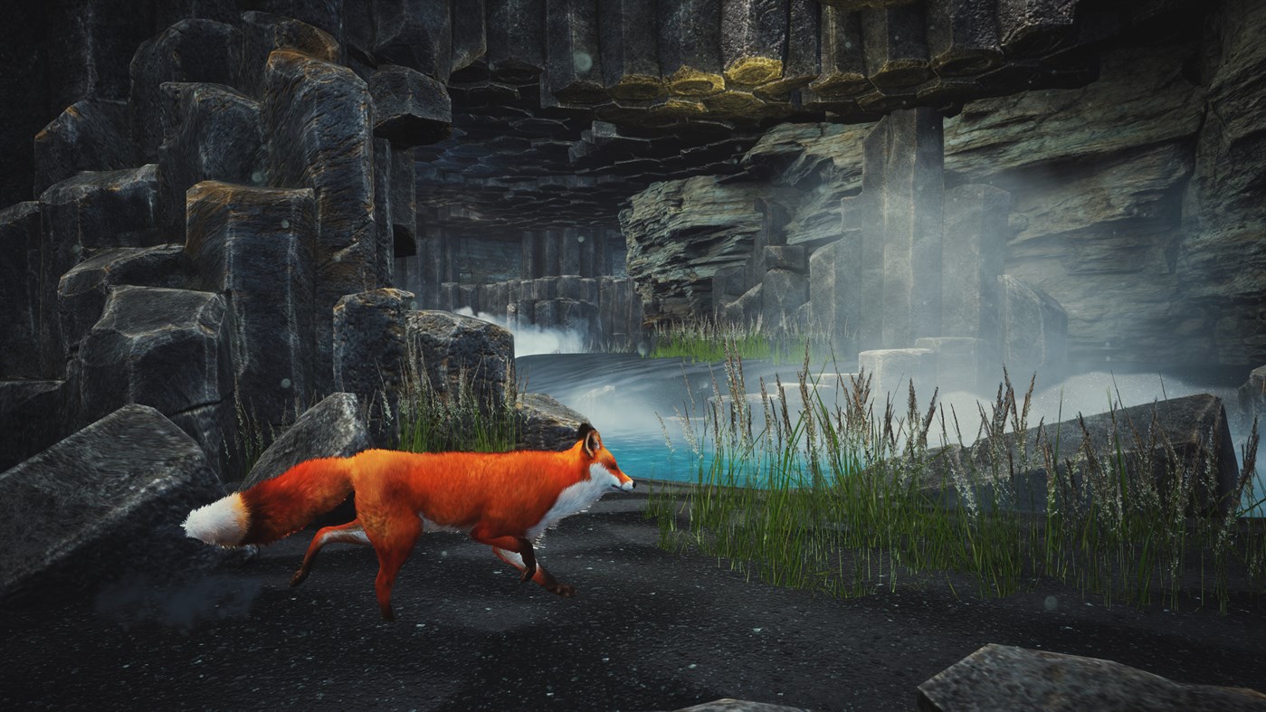 Spirit of the North: Enhanced Edition Xbox Series X|S / PC Account