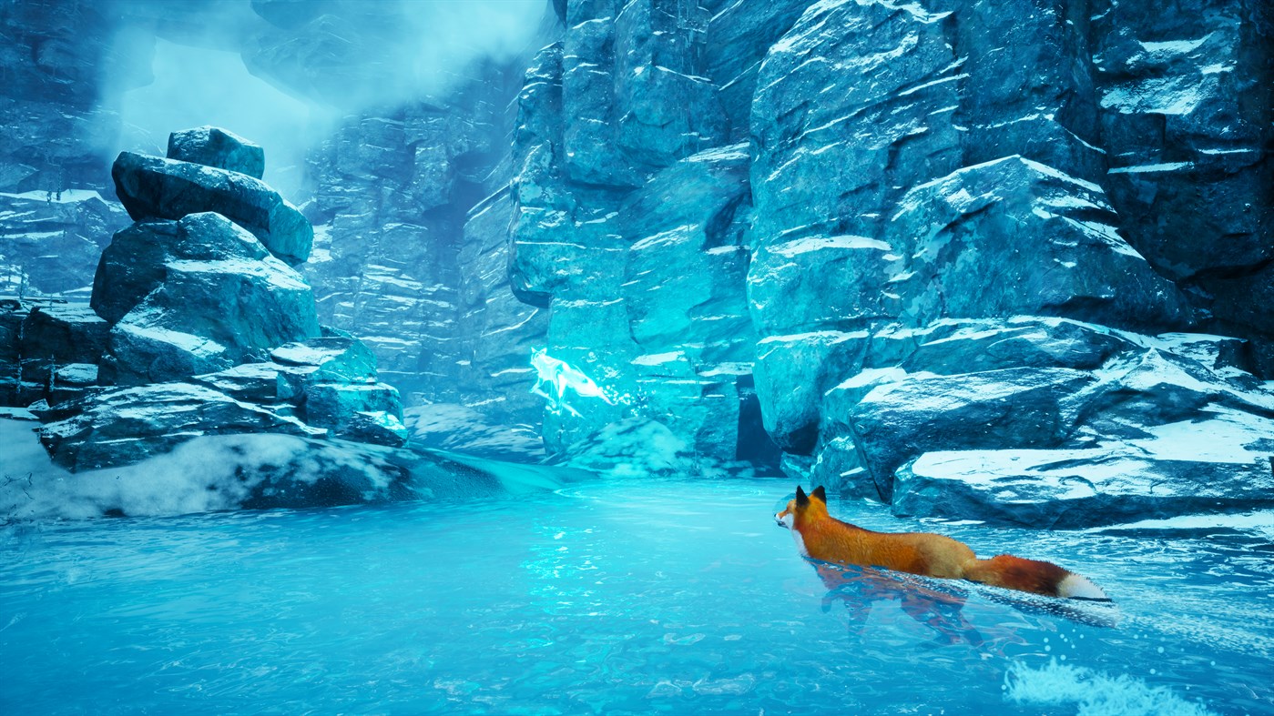 Spirit of the North: Enhanced Edition Xbox Series X|S / PC Account