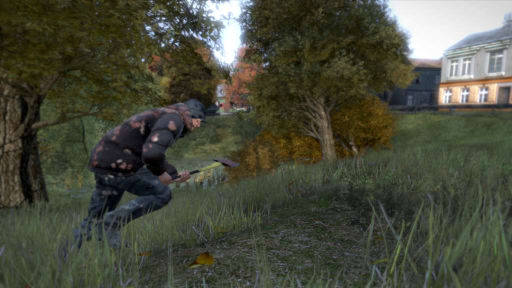 DayZ Deluxe Edition PC Steam Account