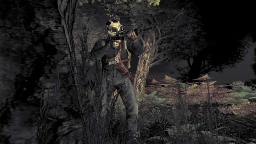 DayZ Deluxe Edition PC Steam Account