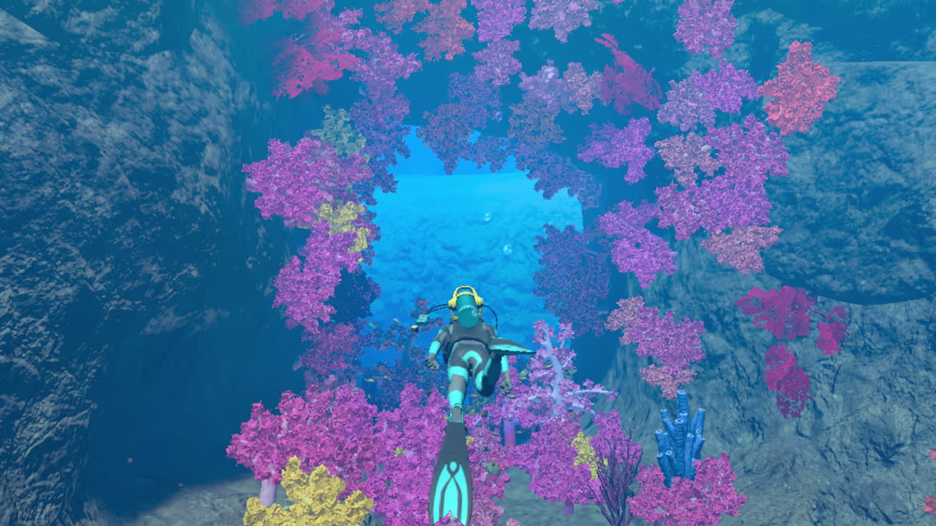 Endless Ocean Luminous Nintendo Switch Access