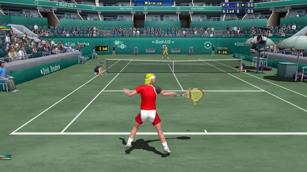 Tennis Elbow 2013 PC Steam Gift