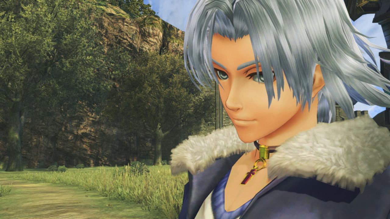 Xenoblade Chronicles Definitive Edition Nintendo Switch Access