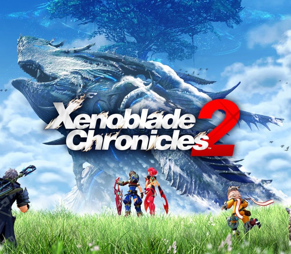 Xenoblade Chronicles 2 Nintendo Switch Access