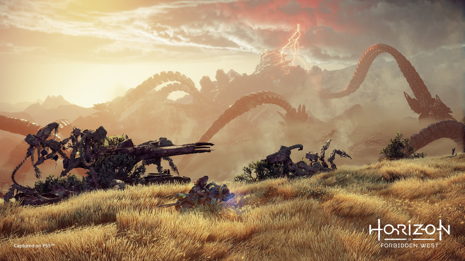 Horizon Forbidden West PS4 Account