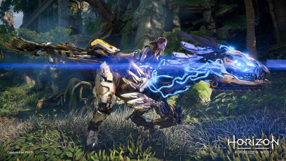Horizon Forbidden West PS4 Account