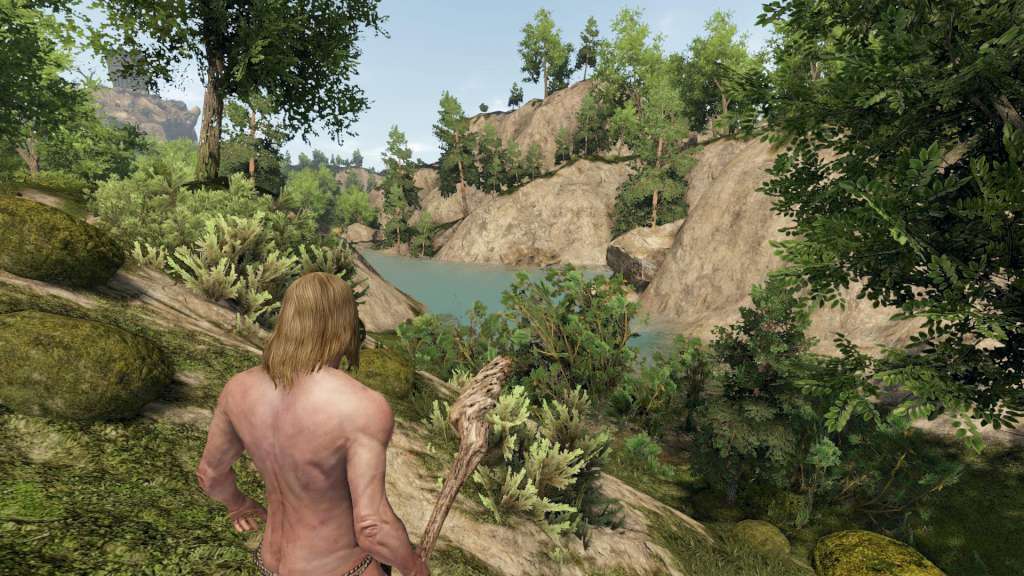 Reign of Kings PC Steam Account