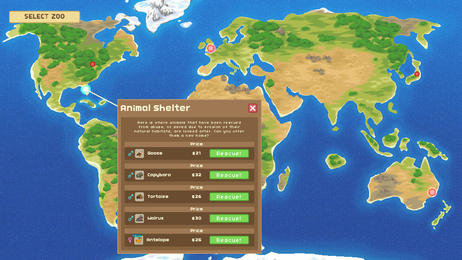 Let's Build a Zoo PC Steam Account
