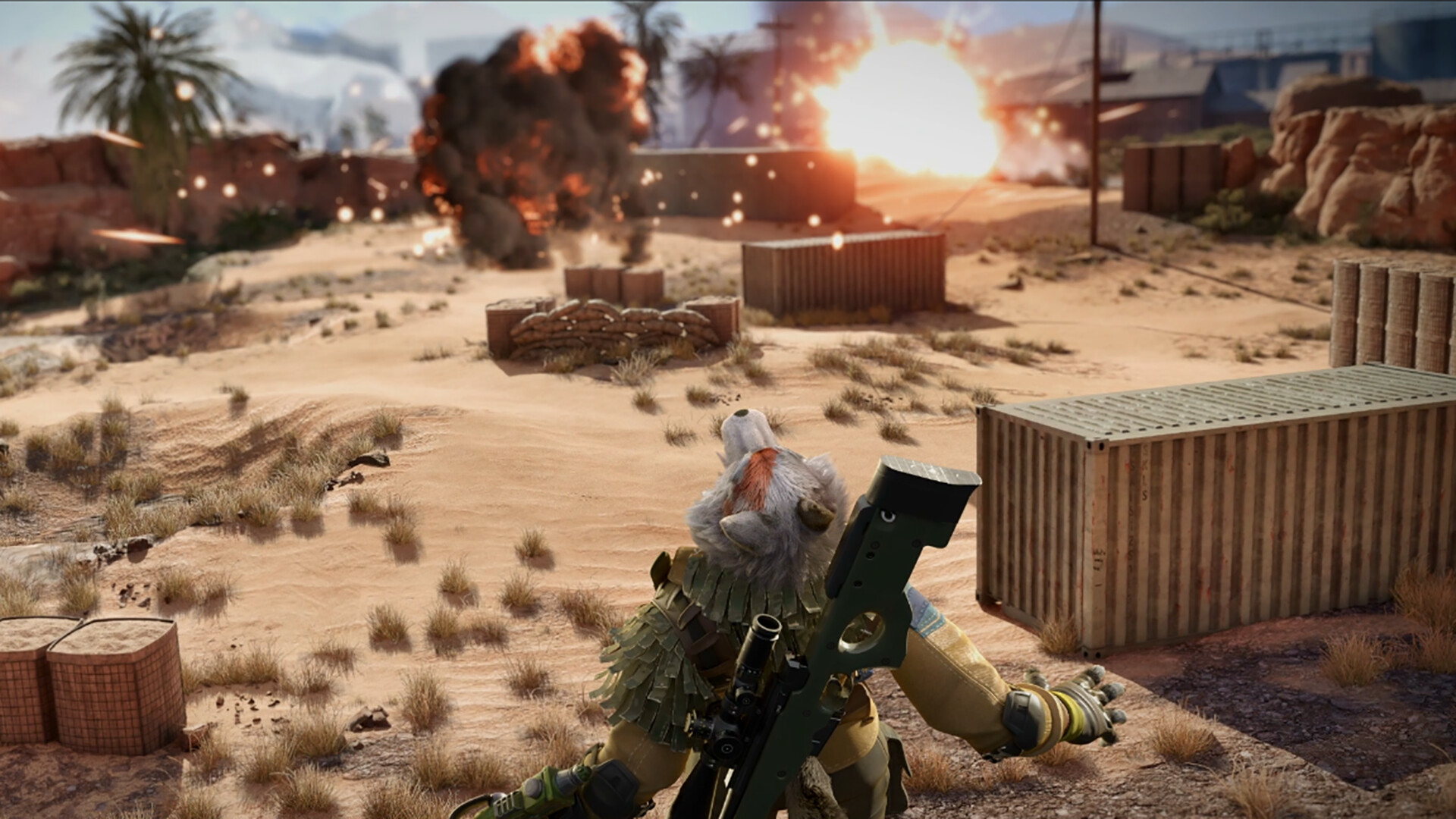 Wild Assault PC Steam CD Key